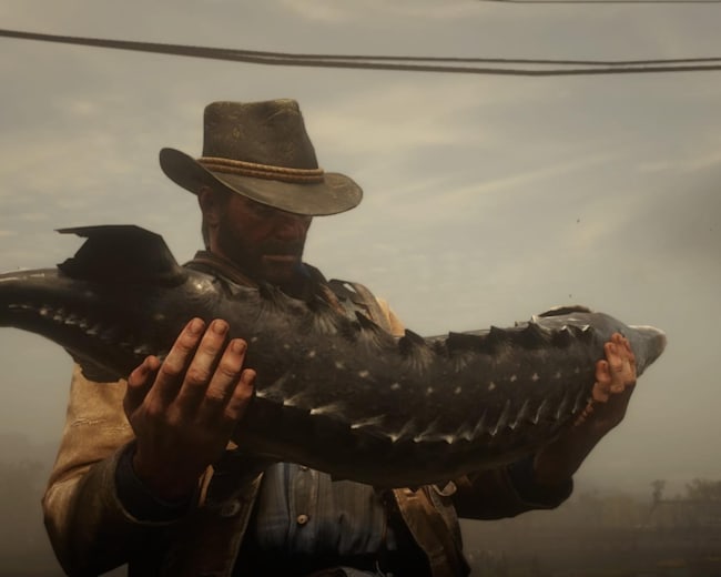 Red Dead Redemption 2 How To Fish On Pc Consoles