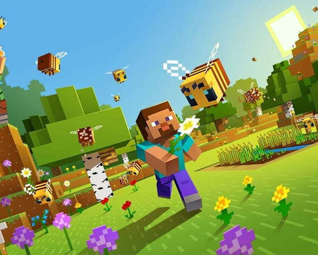 minecraft video game