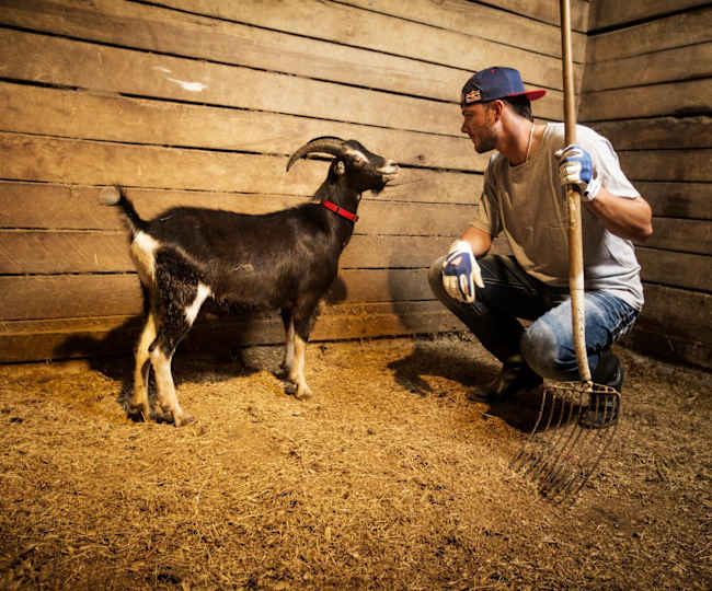 Kris Bryant | Goat - Chicago Cubs