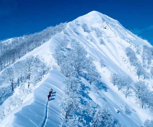 ジャパウ探報 未開の雪原 飯士山に足跡 想い を刻む スノーボード バックカントリー 永井たくみ 南魚沼