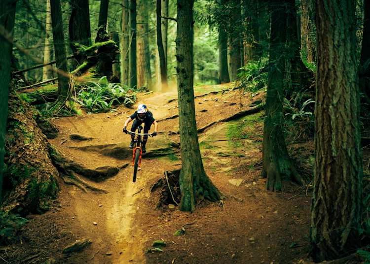 Best Mountain Biking Trails Of America S Northeast