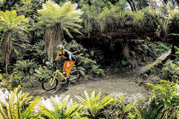 moerangi mtb track