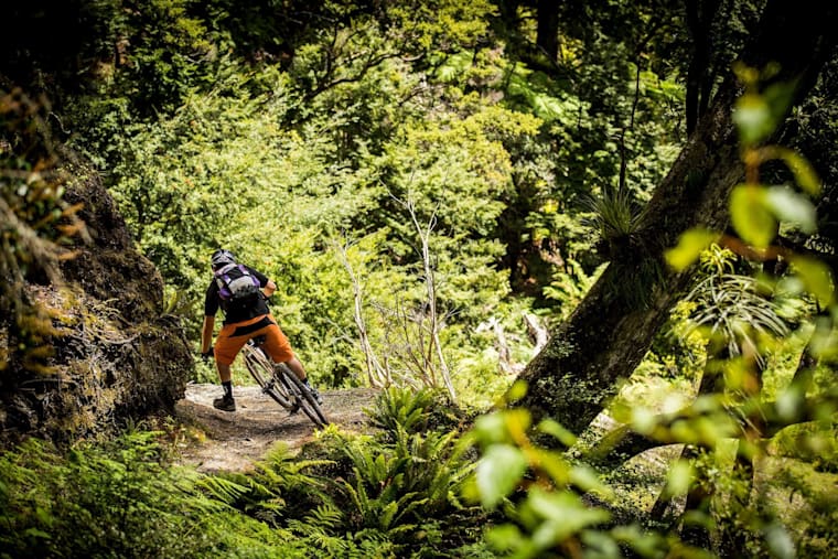moerangi mtb track