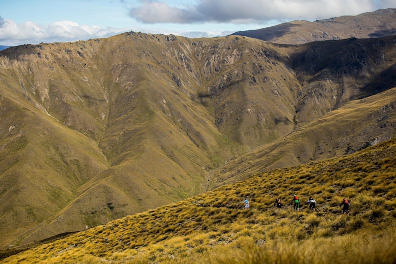 alpine singletrack