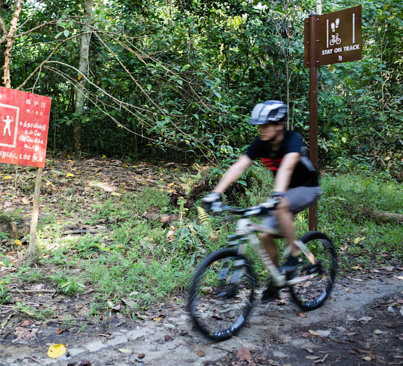 mountain bike track
