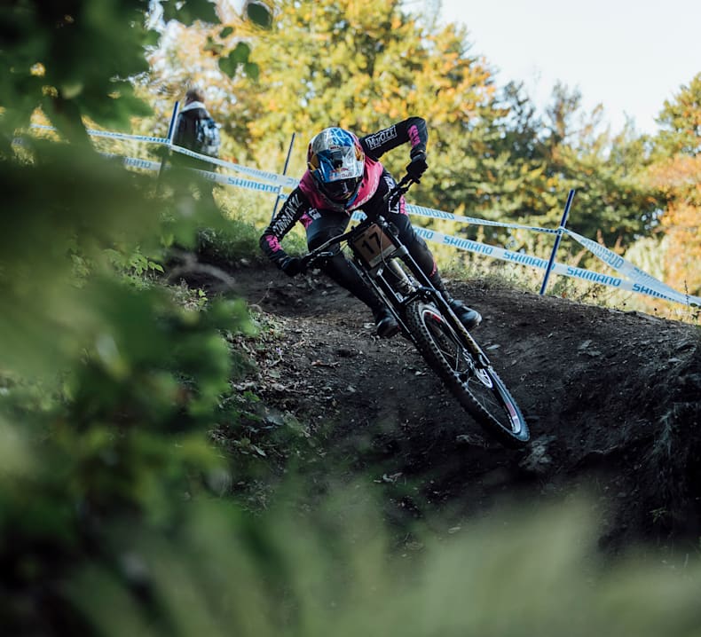 red bull gives you wings redbull com