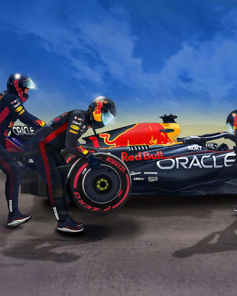 Red Bull Energy Drink – Gives You Wiiings