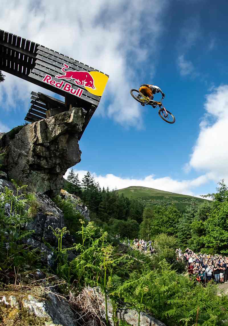 Red bull freeride mountain bike shop