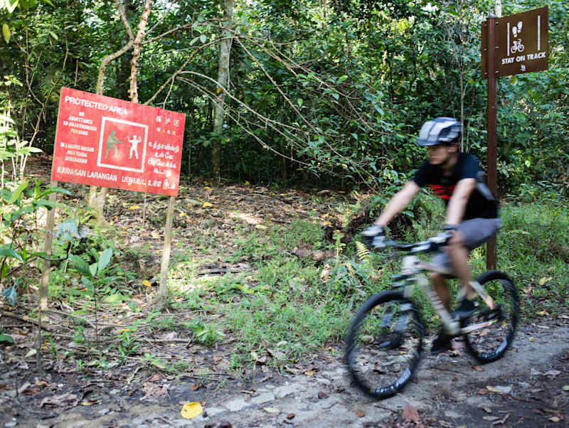 Bukit timah mtb trail discount