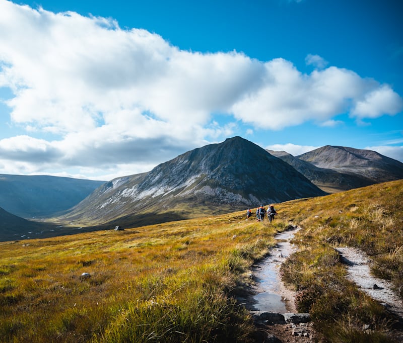 Berghaus snowdonia 2.1 new arrivals
