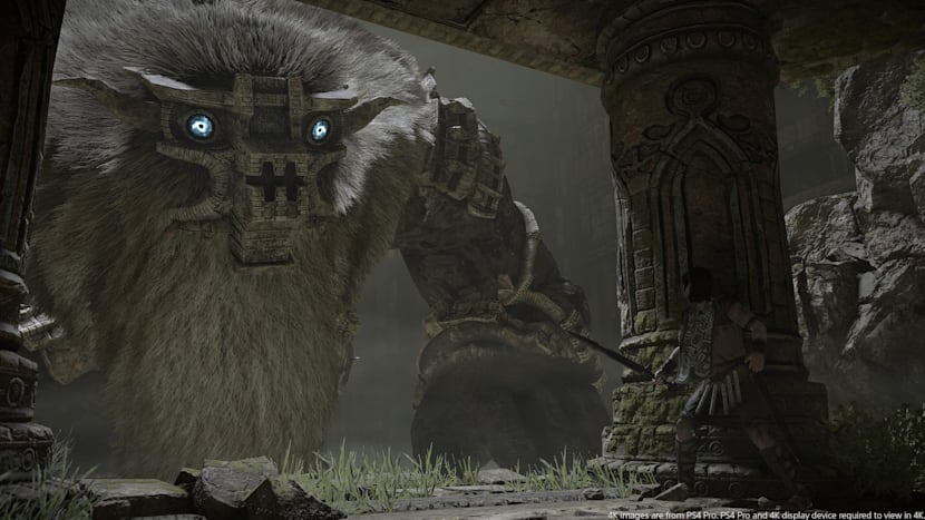 Shadow Of The Colossus Remake Ps4 Game In Neuem Glanz