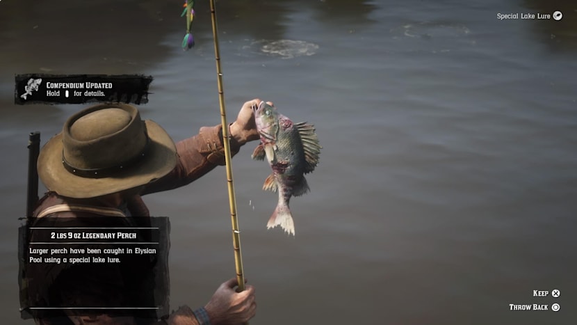 Red Dead Redemption 2: Cómo pescar – 10