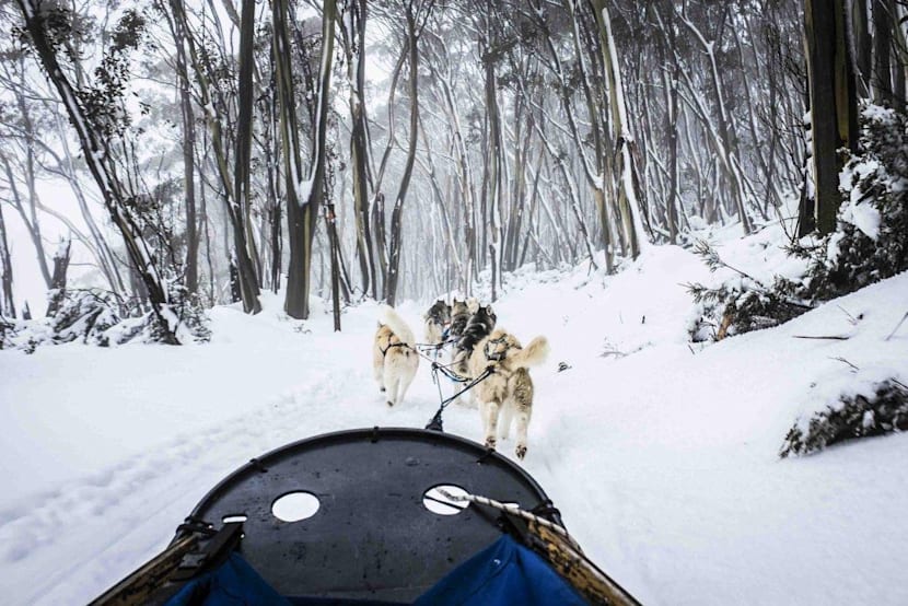 18年 地球の旅 ベスト101