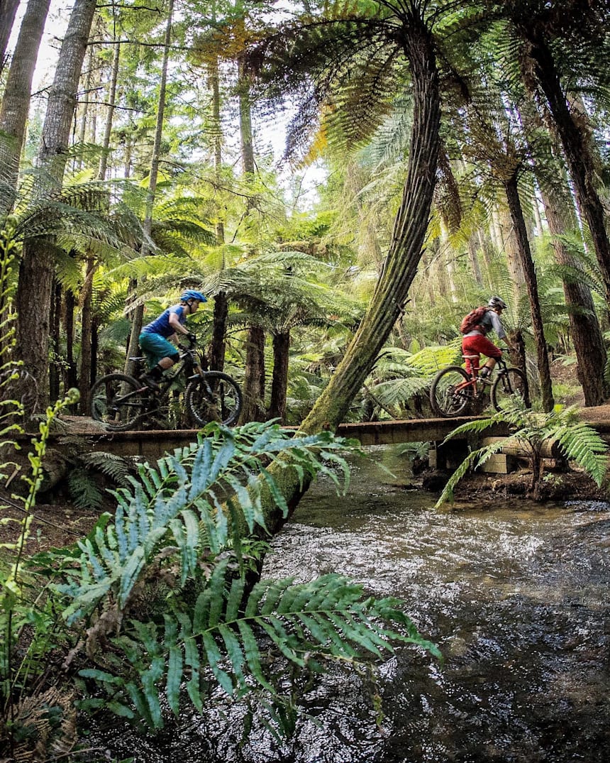 whakarewarewa forest mtb