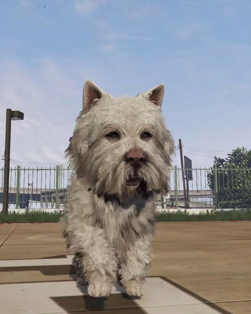 Grand Theft Auto 5 How To Play As A Dog In Gta V