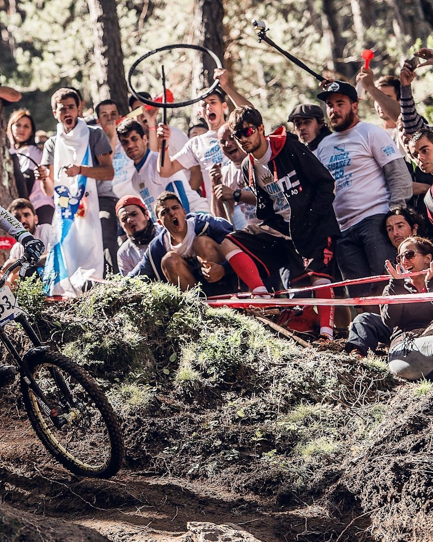 best mtb pedals under 50