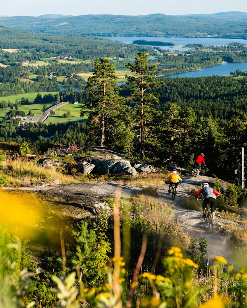 mini bike park