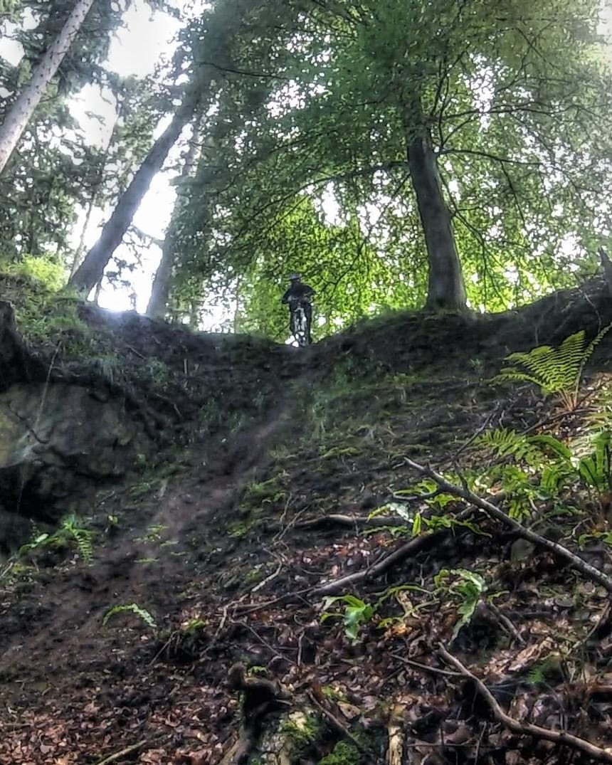 forest of dean bike trails