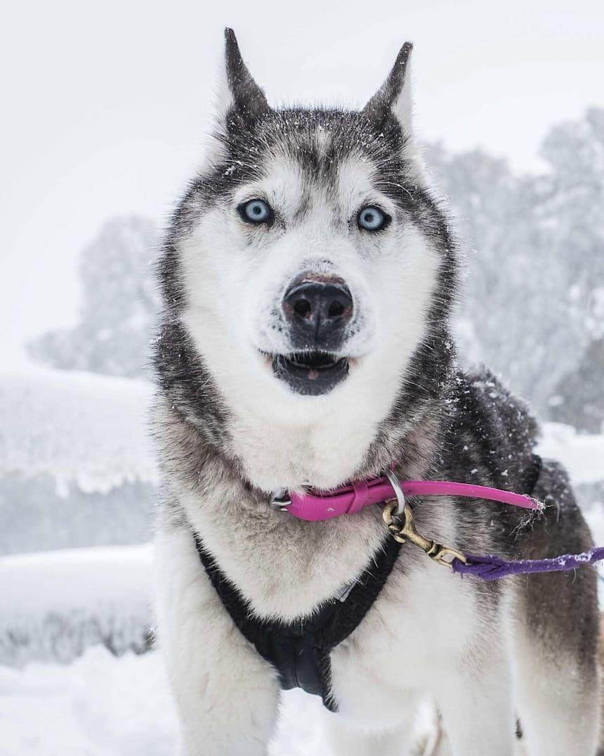 Things To Do In Australia In Winter Top 21 Activities