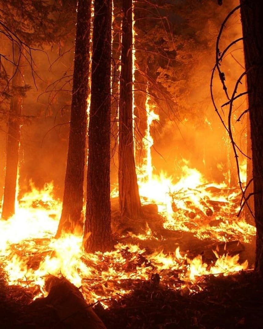 I React Nos Prepara Contra Los Desastres Naturales