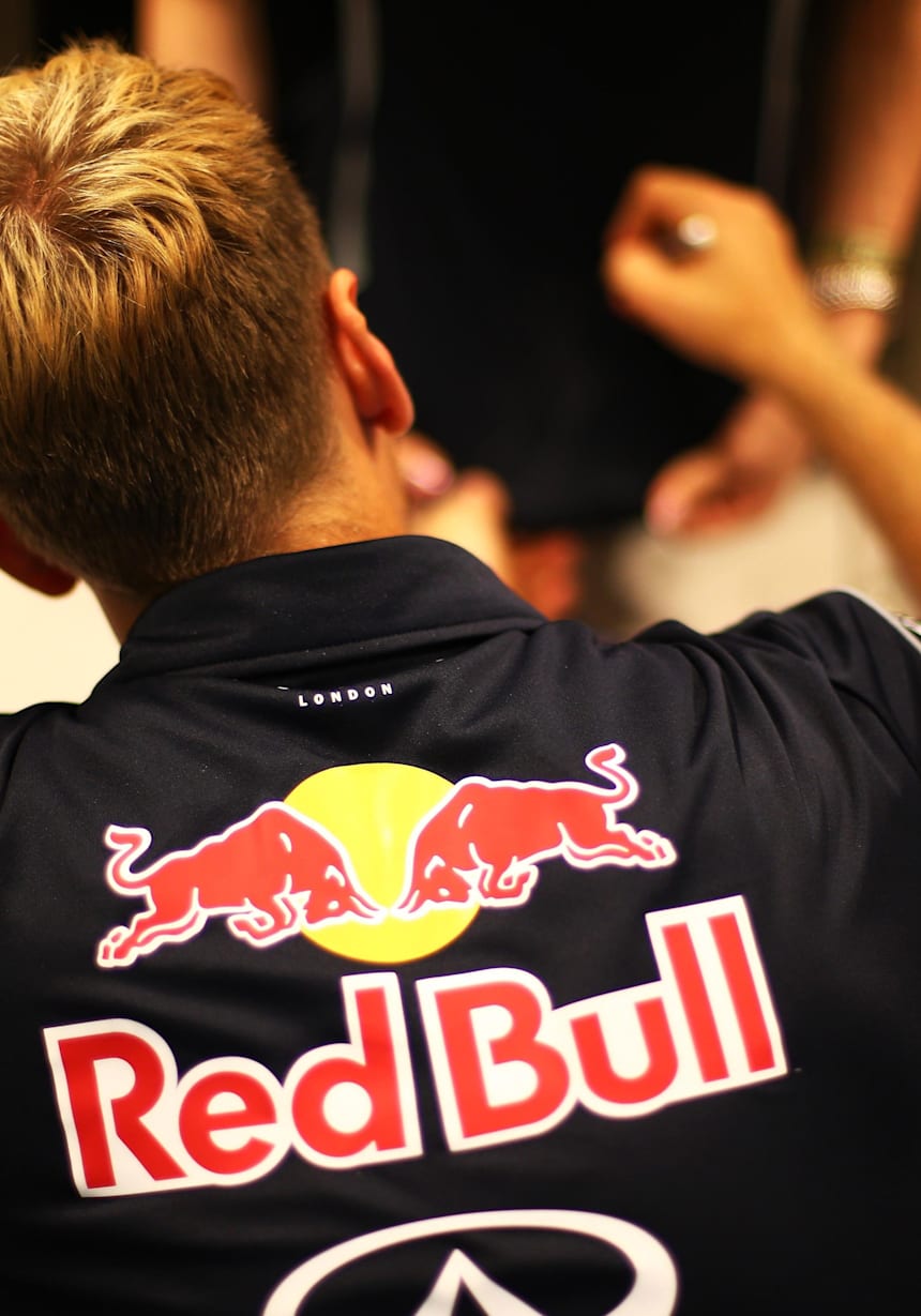 レースの舞台裏 Sebastian Vettel