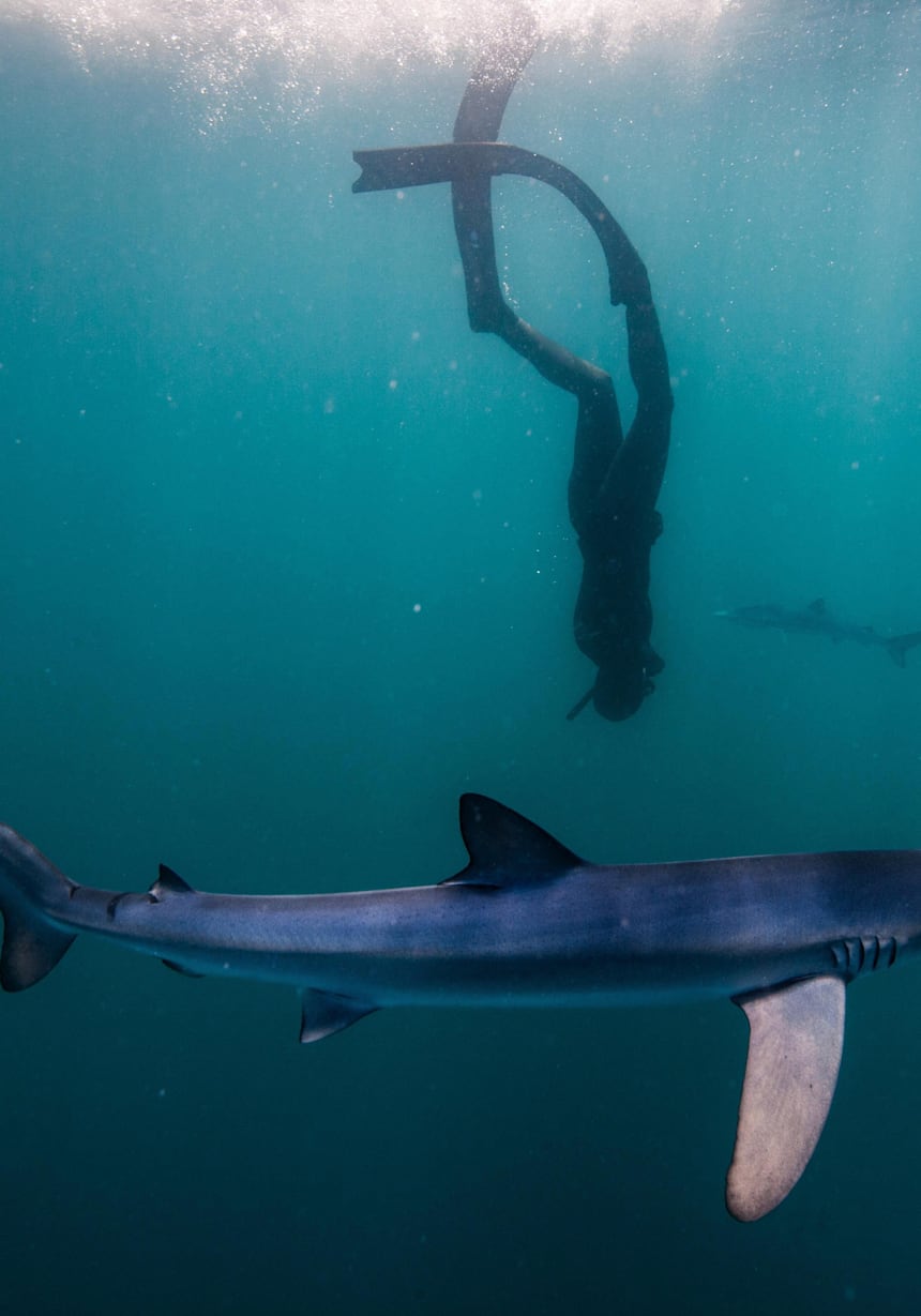 Video Freediving Cu Rechini Albastri Red Bull