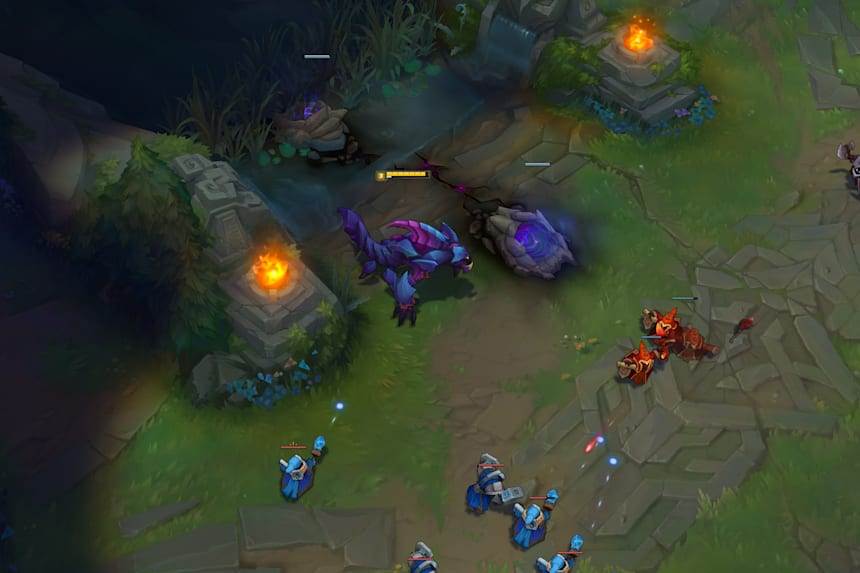 Reksai Jungla 12 Gambit N A Pas Inquiete Origen