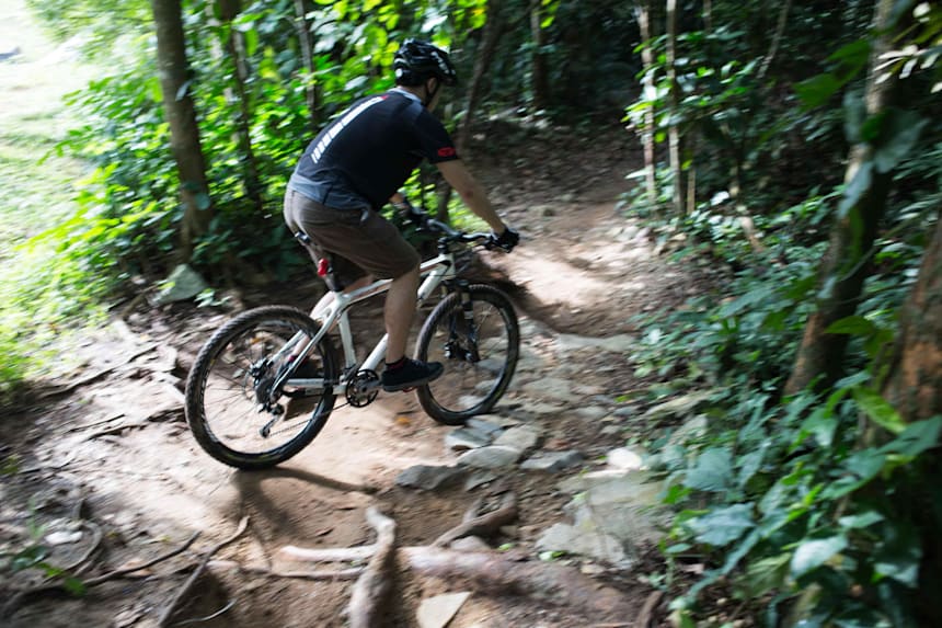mountain bike track
