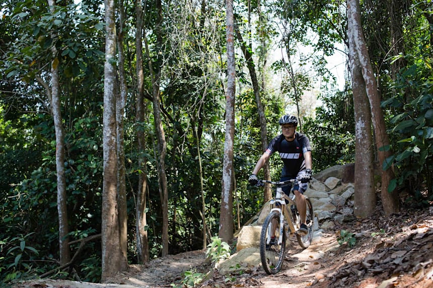 chestnut bike park