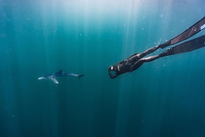 Video Freediving Cu Rechini Albastri Red Bull
