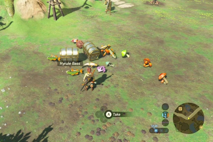 breath of the wild online play