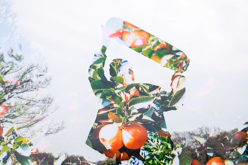 レッドブル 若松優一朗 愛媛みかんをスケートコミュニティでもう一度全国区へ スケートボード スケーター