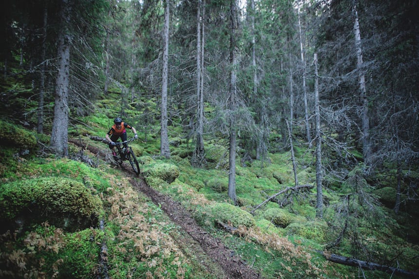 mountain biking nearby