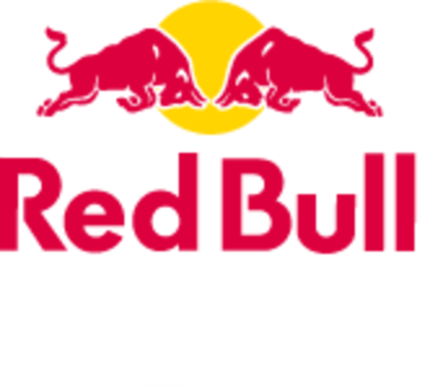 Red Bull Basement