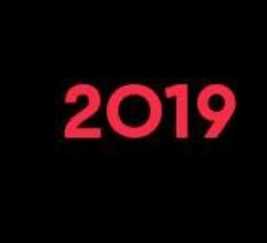companyhighlights2019