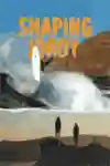 Shaping Jordy Artwork