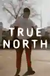 An image of a basketball player on a court in Toronto, with the Toronto Needle in the background and the True North logo in the foreground.
