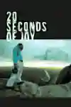 20 Seconds of Joy Cover Art