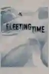 Poster for Fleeting Time, Ben Ferguson's snowboarding film.