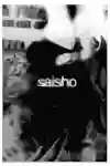 SAiSHO film – artwork.