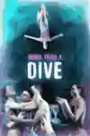 More than a Dive artwork
