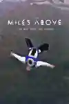 Miles Daisher and the Red Bull Air Force in Miles Above