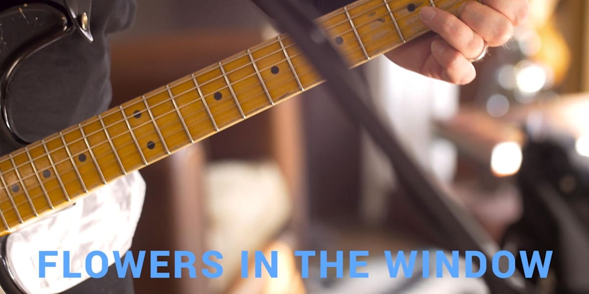 Travis Flowers in the Window