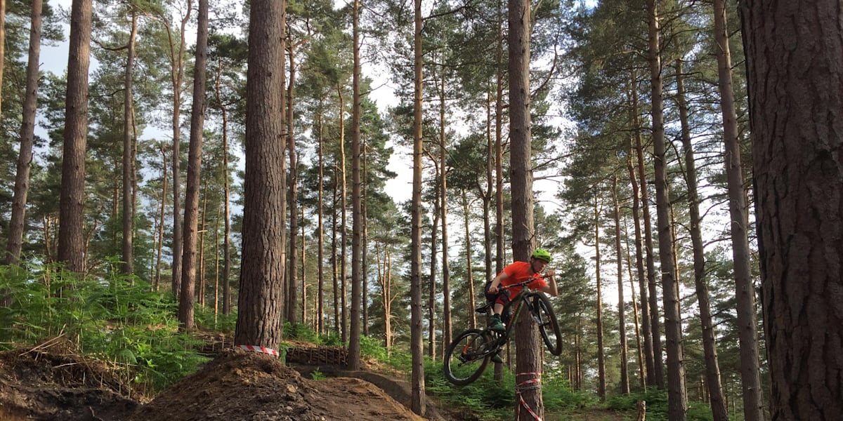 Mtb trails new forest online