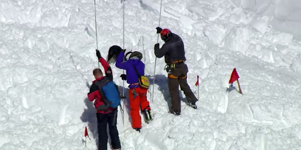 The Horn S1 Avalanche gear extra