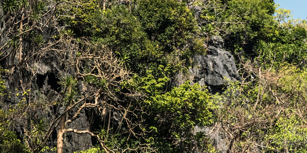 Red Bull Cliff Diving El Nido Women's winning dive