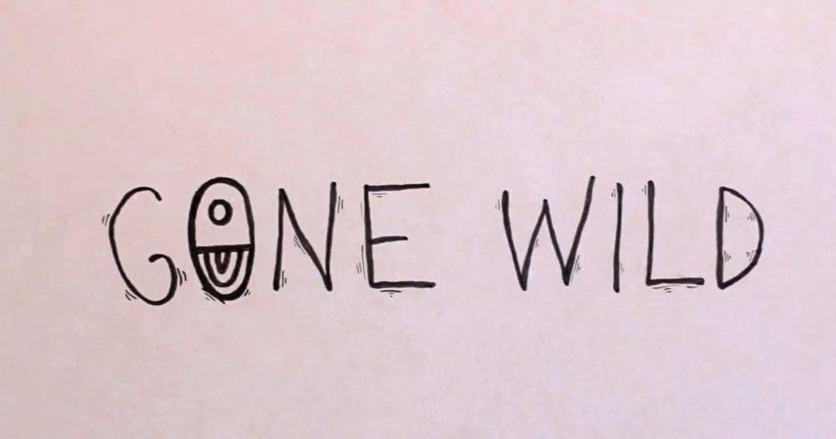 Wild youth. Be gone wild. Gorna wilda. Skid row 1989. Black rebel motorcycle club альбомы.