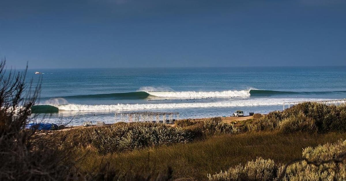 Filmers@Large: Lowers Freesurfs