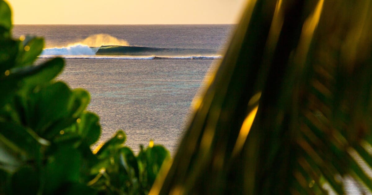 Gallery The best surf travel photos