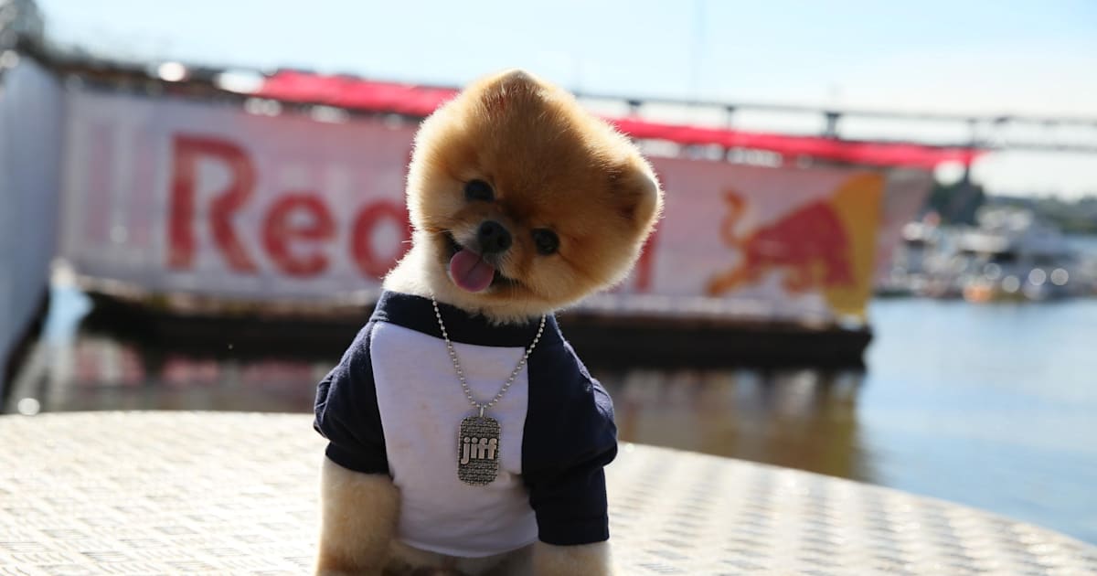 JiffPom | Red Bull Flugtag - Portland